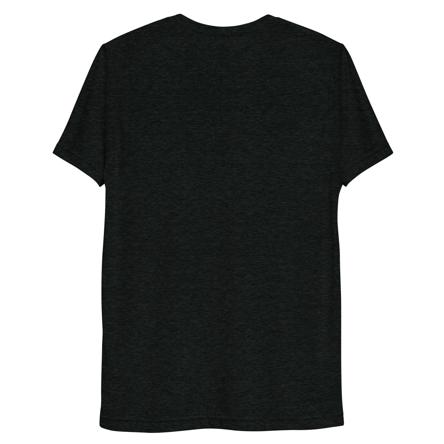 PAK VS INDIA UNISEX Short sleeve t-shirt